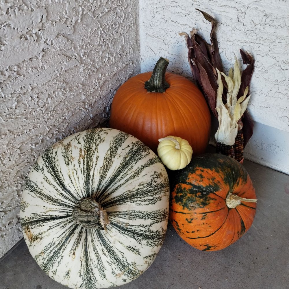 The Pumpkin Patch - Pumpkin Patches Near Me - Tempe, Arizona The Pumpkin Patch - Pumpkin Patches Near Me - Tempe, Arizona