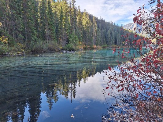 Kootenay National Park by null
