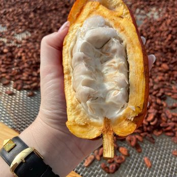 Lavaloha - Chocolatiers & Shops Near Me - Hilo, Hawaii