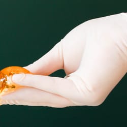 Sassafras Sugaring Studio