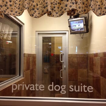 PetSmart - Pet Stores Near Me - Virginia Beach, Virginia