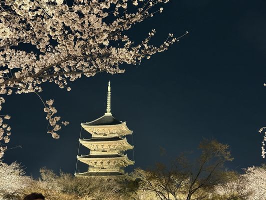 To-ji Temple by null