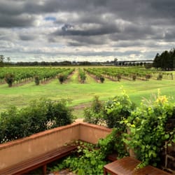 Peterson's Champagne House Ltd - Surrounding vineyards and the view from the terrace
