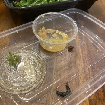 Underbelly Burger - Side Kale Salad - Burgers Near Me - Houston, Texas