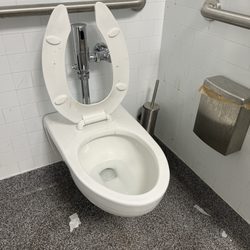 Lidl - Dirty toilet.
