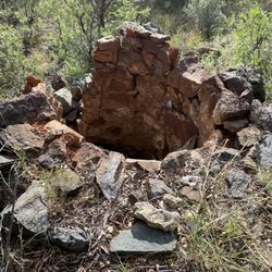 Wilds of Arizona 