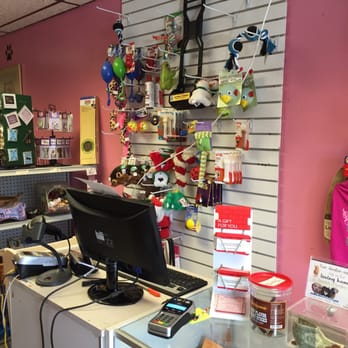 Daisy's Delights - Pet Groomers Near Me - Norwood, Pennsylvania