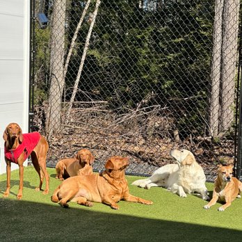 Mutty Paws Academy - Pet Groomers Near Me - Scarborough, Maine Mutty Paws Academy - Pet Groomers Near Me - Scarborough, Maine