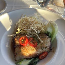 Miso Alaskan Black Cod