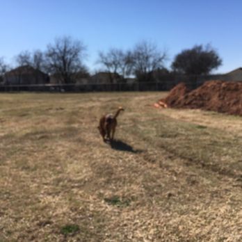 Timberglen Park - Temporary tip for #dog owners: doggie can run around inside the enclosed baseball field while the field is undergoing construction - Parks Near Me - Dallas, Texas
