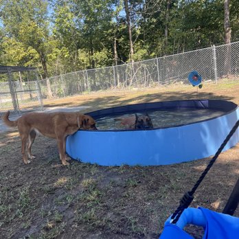 4 Paws River Lodge - Pet Boarding Near Me - Somerville, Alabama 4 Paws River Lodge - Pet Boarding Near Me - Somerville, Alabama