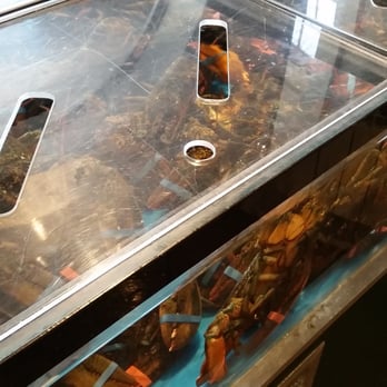 Gabriele Restaurant - lobsters in an aquarium - Seafood Near Me - Shediac, New Brunswick Gabriele Restaurant - lobsters in an aquarium - Seafood Near Me - Shediac, New Brunswick