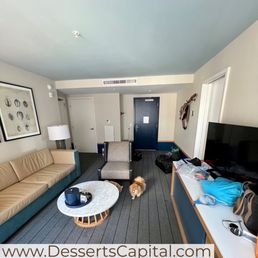 Living room area of our suite. As you can see, it's pet friendly.