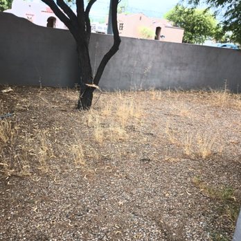 Leah's Landscaping - dry grass in a backyard - Landscaping Near Me - Tucson, Arizona Leah's Landscaping - dry grass in a backyard - Landscaping Near Me - Tucson, Arizona