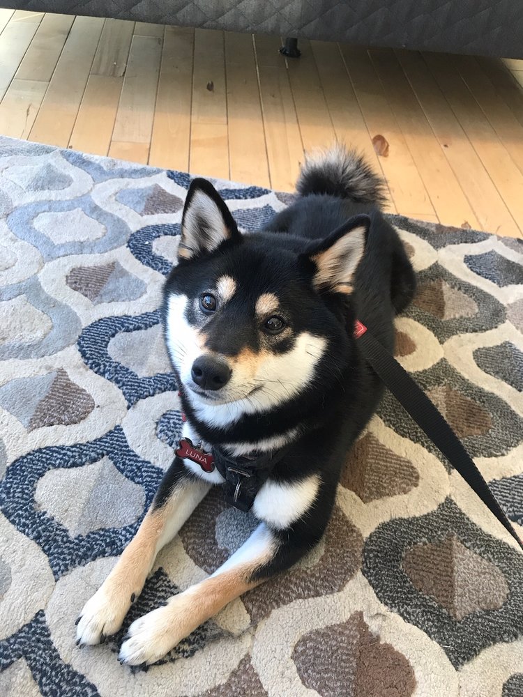 PREFERRED MATTRESS Updated August 2024 31 Reviews 3046 Watson Rd