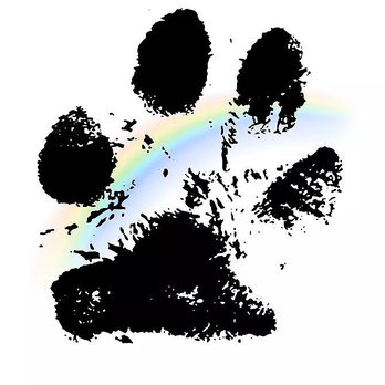 Pet Lawn - Pet Loss Services - Pet Transportation Near Me - Milwaukee, Wisconsin Pet Lawn - Pet Loss Services - Pet Transportation Near Me - Milwaukee, Wisconsin