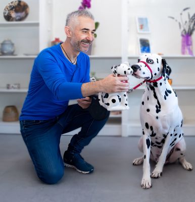 Noni's Pet Boutique & Grooming by null