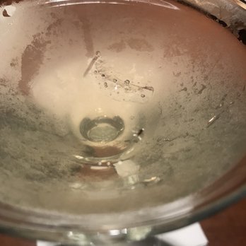 J Mark's Restaurant - Tiny fly in my drink quickly sent back and got a new one - New American Near Me - Pompano Beach, Florida J Mark's Restaurant - Tiny fly in my drink quickly sent back and got a new one - New American Near Me - Pompano Beach, Florida