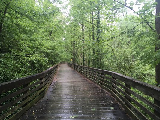 Medlock Park by null