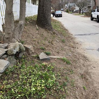 Max Landscaping - a picture of a tree that has fallen down - Landscaping Near Me - Mansfield, Massachusetts