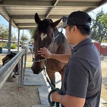 Urban Horseman - Horseback Riding Near Me - Whittier, California Urban Horseman - Horseback Riding Near Me - Whittier, California
