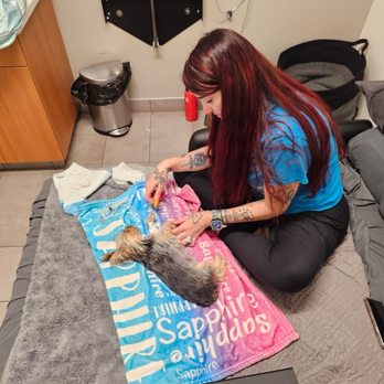 Veterinary Emergency Group - Emergency Pet Hospital Near Me - Tucson, Arizona Veterinary Emergency Group - Emergency Pet Hospital Near Me - Tucson, Arizona