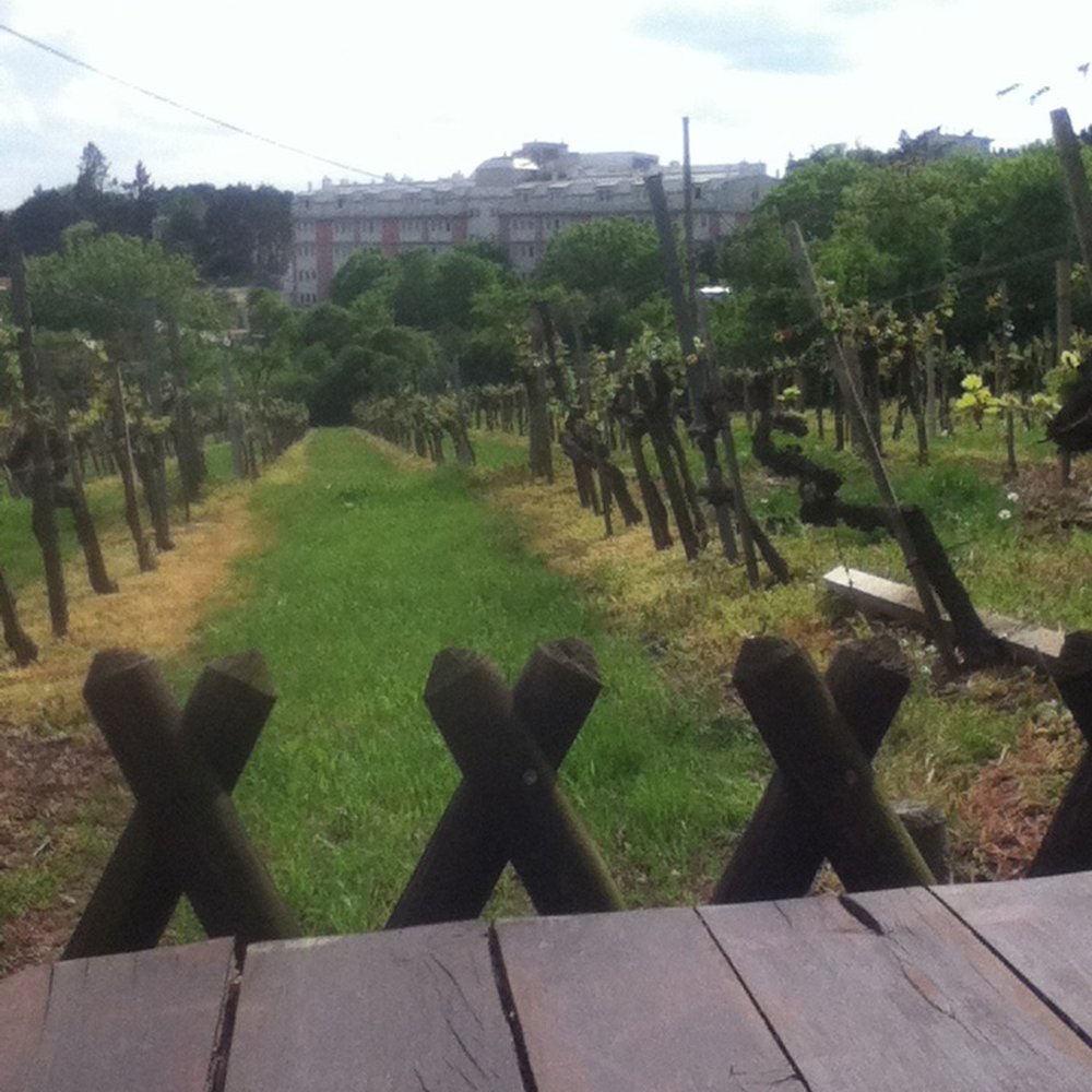 Weinbau Herrmann - Heuriger Near Me - Vienna, 9
