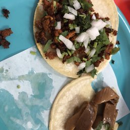 two tacos on a blue plate two tacos on a blue plate