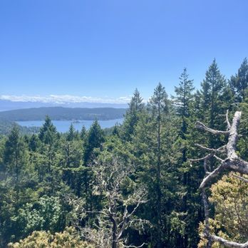 Adrena Line Zipline Adventure Tours - View from the Big Zip - Ziplining Near Me - Sooke, British Columbia