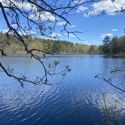 Fawn Lake - The lake!