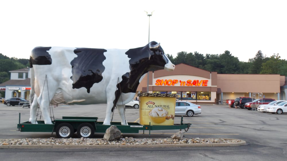 Shop 'N Save Logo