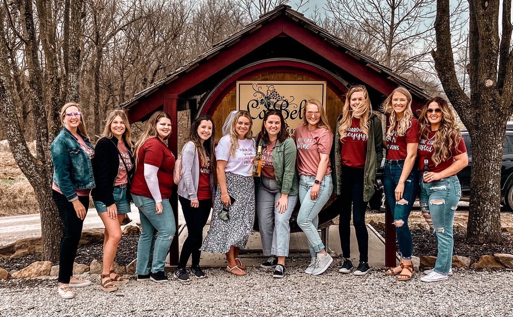 La Bella Winery - vineyard in Wellington, MO