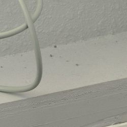 Island Dental - Dust bunnies throughout office