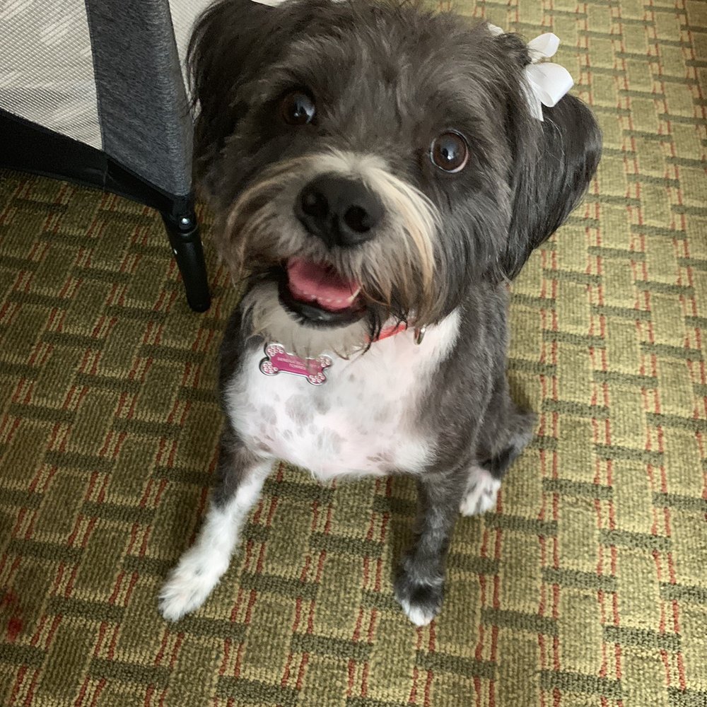 Post Groom. Happy Post Groom. Happy
