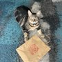 Photo of The Love Cats