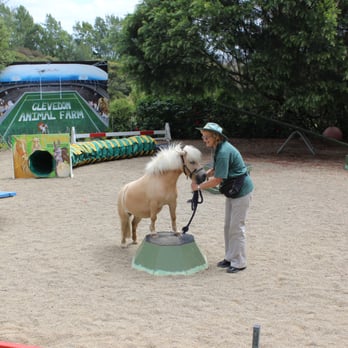 Clevedon Animal Farm - Zoos Near Me - Auckland, AUK