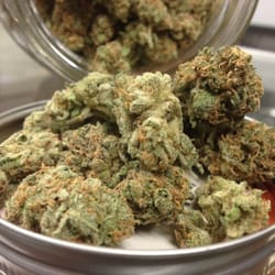 WEEDeliver - Blue Dream