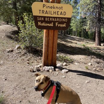 Pine Knot Trail - Hiking Near Me - Big Bear Lake, California