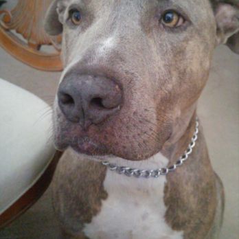 PetSmart - Pet Stores Near Me - San Diego, California