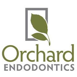 Jay Lang - Orchard Endodontics
