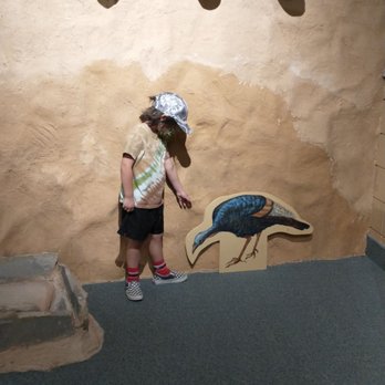 USU Eastern Prehistoric Museum - Museums Near Me - Price, Utah USU Eastern Prehistoric Museum - Museums Near Me - Price, Utah