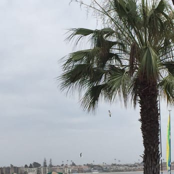 Moray's - Bay view from Moray's. - New American Near Me - San Diego, California