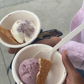 Jeni's Splendid Ice Creams - Lavender (eh) and the blueberry cheesecake (also eh) - Ice Cream & Frozen Yogurt Near Me - Atlanta, Georgia Jeni's Splendid Ice Creams - Lavender (eh) and the blueberry cheesecake (also eh) - Ice Cream & Frozen Yogurt Near Me - Atlanta, Georgia