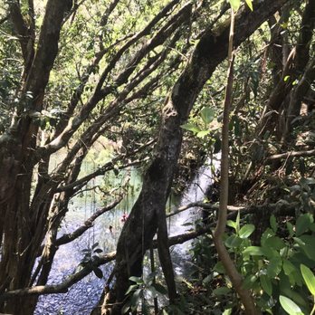Hike Maui - Tours Near Me - Kahului, Hawaii Hike Maui - Tours Near Me - Kahului, Hawaii