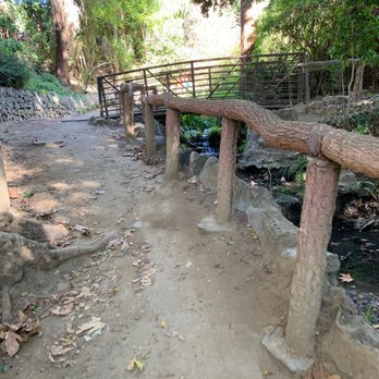 Fern Dell - Hiking Near Me - Los Angeles, California