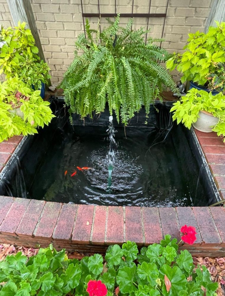 VORTEX AQUATICS - Updated June 2026 - Request a Quote - Houston, Texas ...