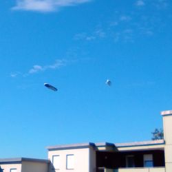 Deutsche Zeppelin-Reederei