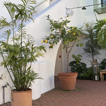 Palihouse Santa Barbara - Beautiful outside patio. - Hotels Near Me - Santa Barbara, California
