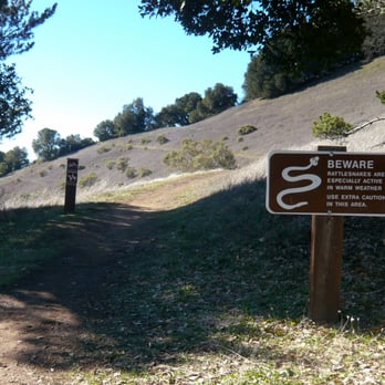 Skyline Ridge Preserve - Section of the Ipiwa Trail (Bay Area Ridge Trail). - Hiking Near Me Skyline Ridge Preserve - Section of the Ipiwa Trail (Bay Area Ridge Trail). - Hiking Near Me