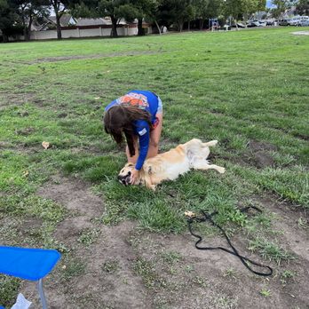 Central Coast: Off Leash K9 Training - Dog, trainer, off leash - Pet Training Near Me - Seaside, California Central Coast: Off Leash K9 Training - Dog, trainer, off leash - Pet Training Near Me - Seaside, California